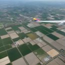 174 | 일본 삿포로 아시아나 항공 OZ174 기내식 후기