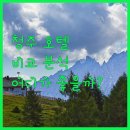 메리제인호텔 | 청주 호텔 완벽 분석! 글로스터 호텔, 메리제인, 세종시티 오송 비교 체험!