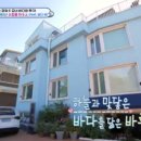백마주택 일간스포츠