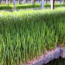 군산시농업기술센터 이미지