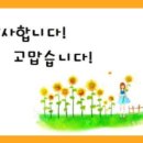 감사합니다