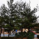 간촌공원 이미지