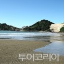 우이도 풍성사구(모래언덕) 이미지