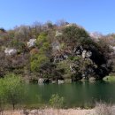 선거보건진료소 이미지