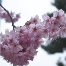 부산배화학교 이미지