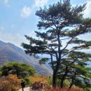 하늘모