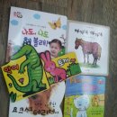 홍진농장2 이미지