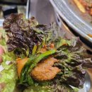 농장 | 합정역밥집 마포오리농장 후기