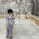 종이나라놀이터1 | 울산 가루야가루야 밀가루 체험, 아이 취향 저격한 실내 오감놀이 실내놀이터 후기 주차 예매 팁