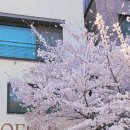 광교카페거리 이미지