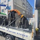 리틀베토벤음악학원 이미지