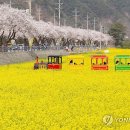 바이크 탐방로4 이미지