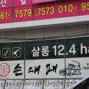 살롱(Salon)12.4