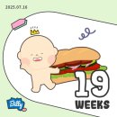 양양군보건소 | 오복이 임신 19-20주차 기록 👼🏻:중기 정밀초음파,양양여행