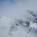 인간의 老化조건 이미지