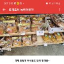 토마토의농비어천가 이미지
