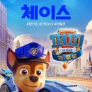 퍼피빌 이미지