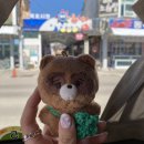 인(터넷) 생(활) 사는 중
