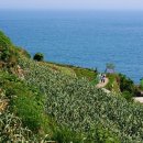 남해스포츠파크 풋살경기장 이미지