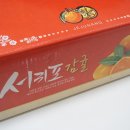 주식회사 지니팜 이미지