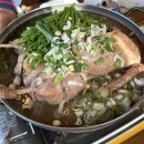 안림사거리 | 충주 백숙 맛집 샤브락 능이버섯 오리백숙 솔직후기