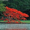 신진농장 이미지