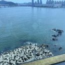 델루나레스토랑 이미지