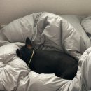 사월의봄한의원 | 24.03.06~24.03.31