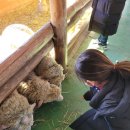 승우목장 이미지