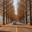 남양열린운동장 족구장 | 담양 가볼만한곳 물구십리 마을, 겨울 촌캉스와 딸기체험의 완벽한 조화