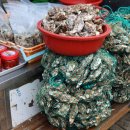 성주면사무소 | 12월 겨울 여행지 추천, 보령 천북 굴단지