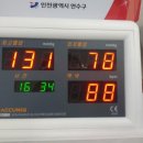 머꼬갈래 이미지