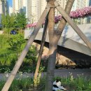 몰리스펫샵(스타필드 하남) 이미지