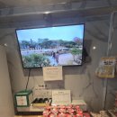 청풍발리호텔 이미지