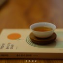 일광정사