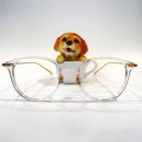 정릉51 이미지