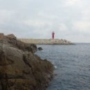 북영덕농협 축산항지점 이미지