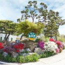 강화도 늘푸른 펜션 이미지