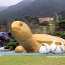 힐링여행 이미지