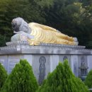 향림사소장본조상경 이미지
