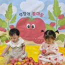 식재료오감놀이- '토마토랑 놀아요'(태인.보미.예서) 이미지
