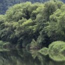 꺼먹다리펜션 이미지