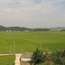 마음에고향 네이버블로그