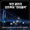 쥬스홀릭 - 중구 광복로49번길 17 | [부산 해운대] 부산 요트위에서 즐기는 드론쇼 광안리 요트투어 "와이홀릭" 이용 후기