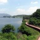 과학남로 이미지