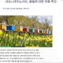 조용한 위협: 한국의 꿀벌 감소와 살충제 논쟁 이미지