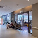 엄마가스상사 | 창원 파티마 산부인과 진료 난소낭종절제술 후기