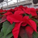 일산농장 이미지