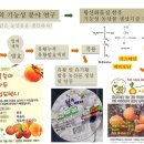 유황농산물