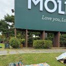 그린존 | 250923 SSG 랜더스필드 기아전 몰리스 그린존 직관 후기